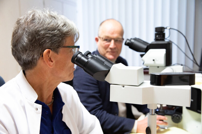 Pathologen am Mikroskop
